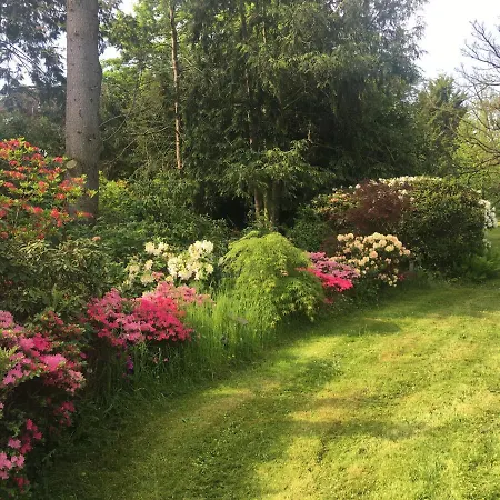 欧亚瑟德汝河公寓 公寓 *