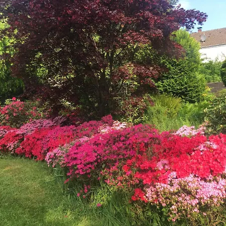 欧亚瑟德汝河公寓 公寓 博恩海姆