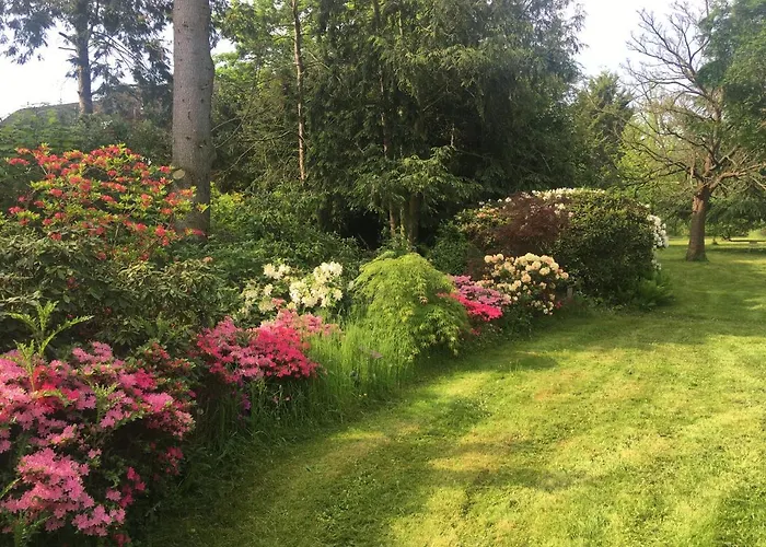 Oase Der Ruhe דירה *