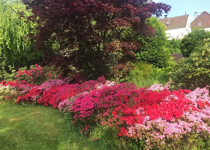 Oase Der Ruhe דירה בורנהיים