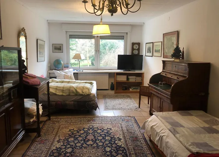 公寓 欧亚瑟德汝河公寓 博恩海姆